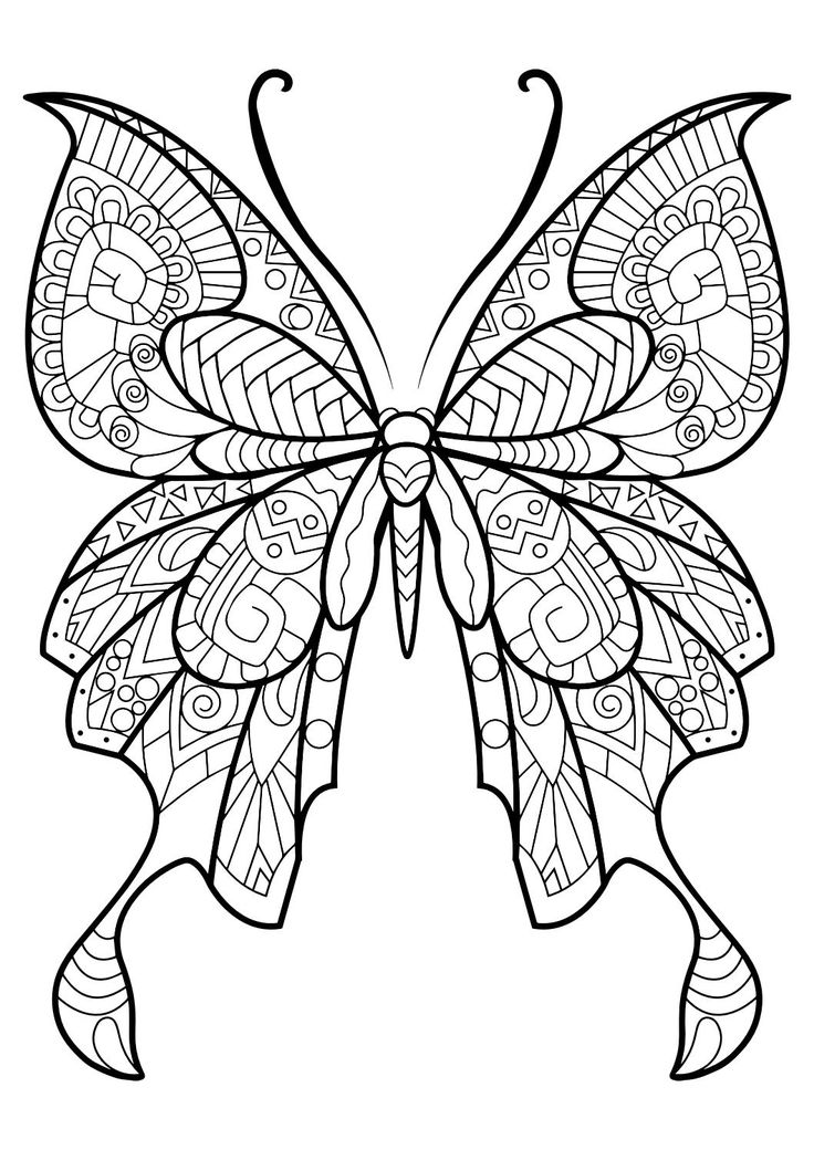 draw pattern  this adult coloring book with beautiful