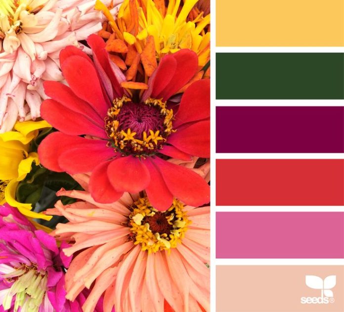 Color Inspiration - Autumn Brights via jessica colaluca, design seeds ...