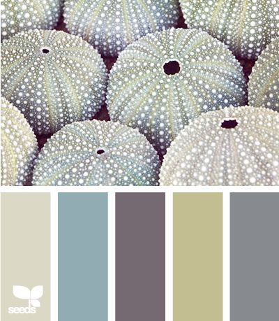 Color Inspiration - Paceful paint palette inspired by the sea ...