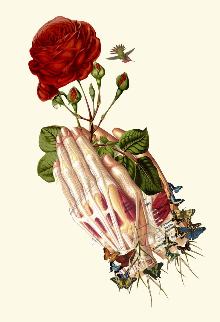 illustration - bedelgeuse: ““forgiven” anatomical collage art by ...