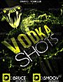 Vodka Shots Flyer Template PSD