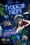 Hot Ladies Night Party Flyer - 2