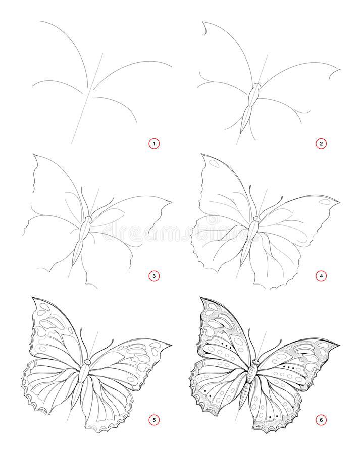 Butterfly Sketch How To Draw Sketch Of Beautiful Fantastic Butterfly Creation Step By Step Pencil Drawing Education For Artists Stock Vector Illustration Of Activity Pencil 168843768 Codesign Magazine