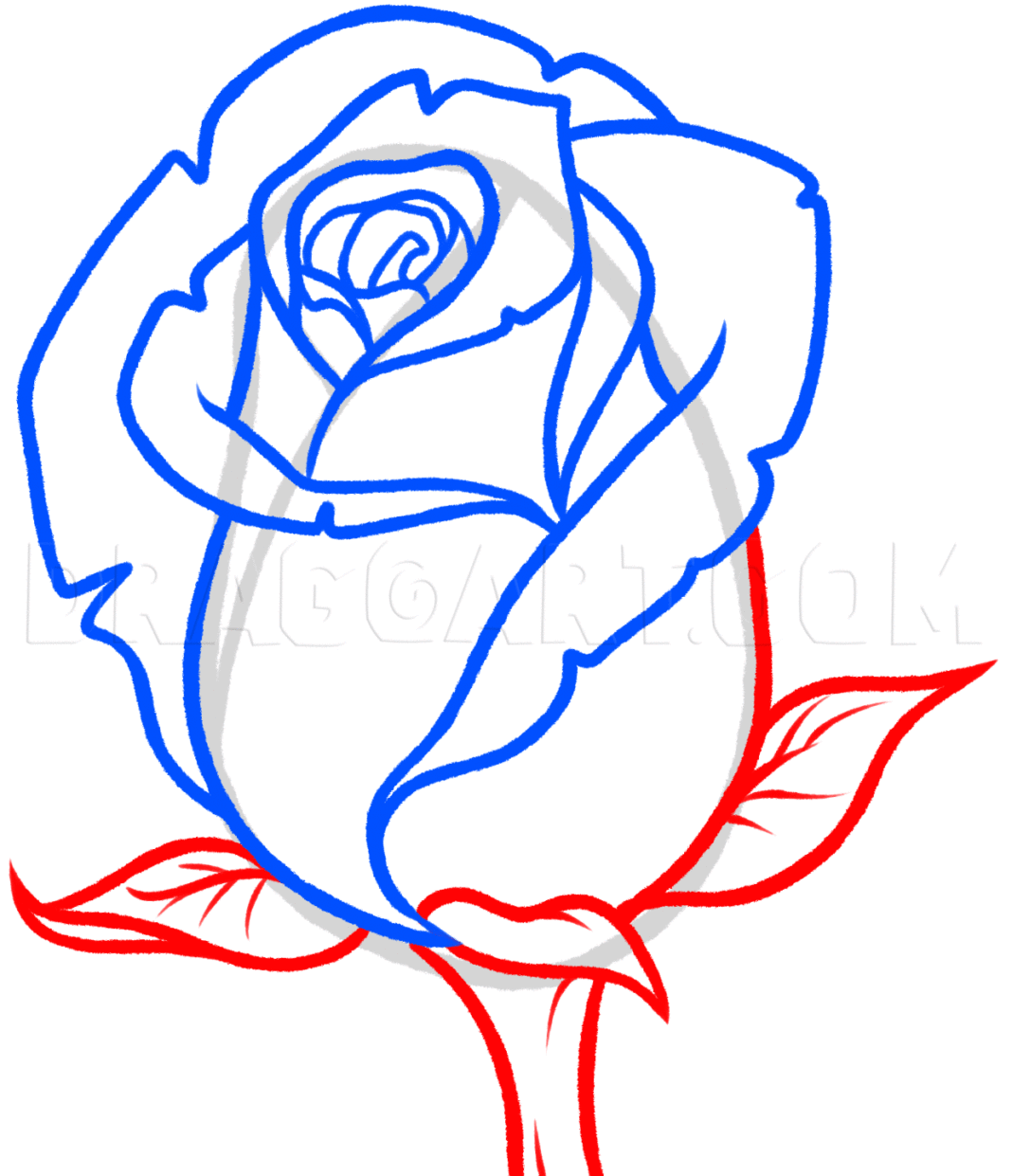 Рисунки для срисовки лёгкие розы