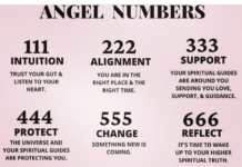 What is the significance of 311 angel number  Discover what Angel  